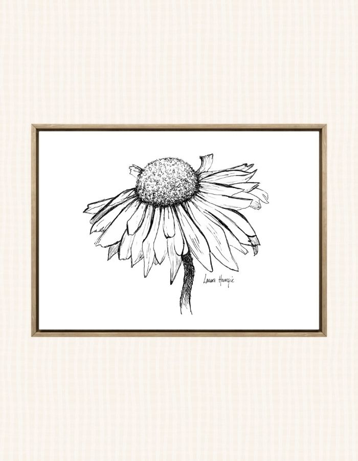Art print of an inky line art Daisy flower with intricate details on the petals - hand-drawn by Laura Hamzic