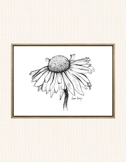 Art print of an inky line art Daisy flower with intricate details on the petals - hand-drawn by Laura Hamzic