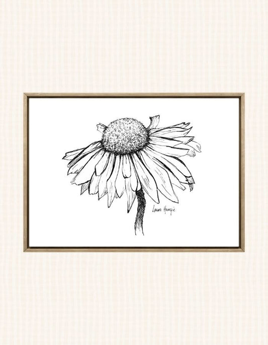Art print of an inky line art Daisy flower with intricate details on the petals - hand-drawn by Laura Hamzic