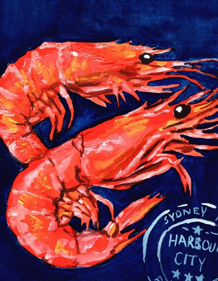 New South Wales Prawns