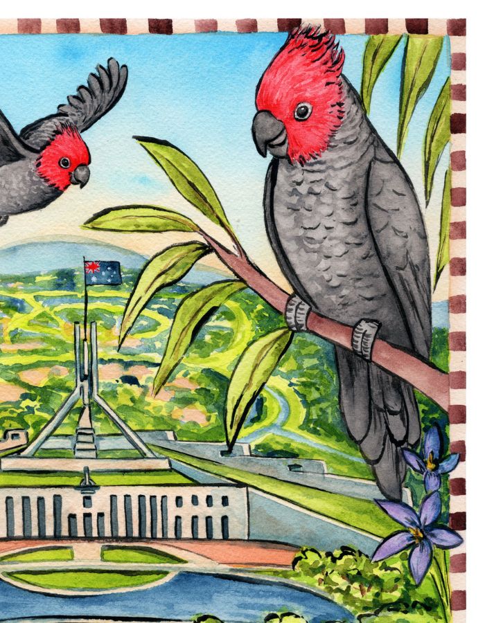 Canberra Australia gift print perfect as a keepsake from the capital