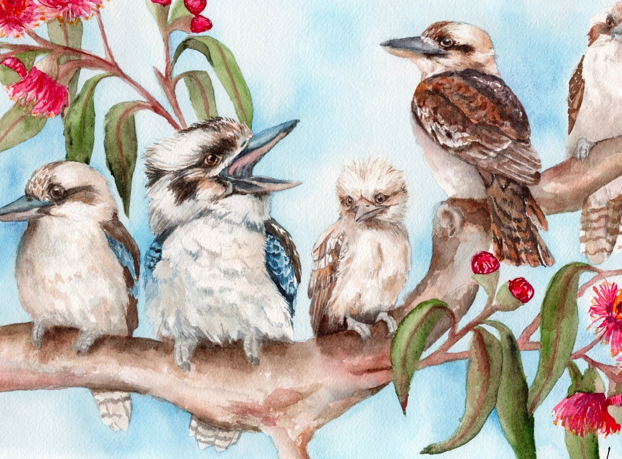 Illustration of kookaburras on a branch with flowers and leaves.