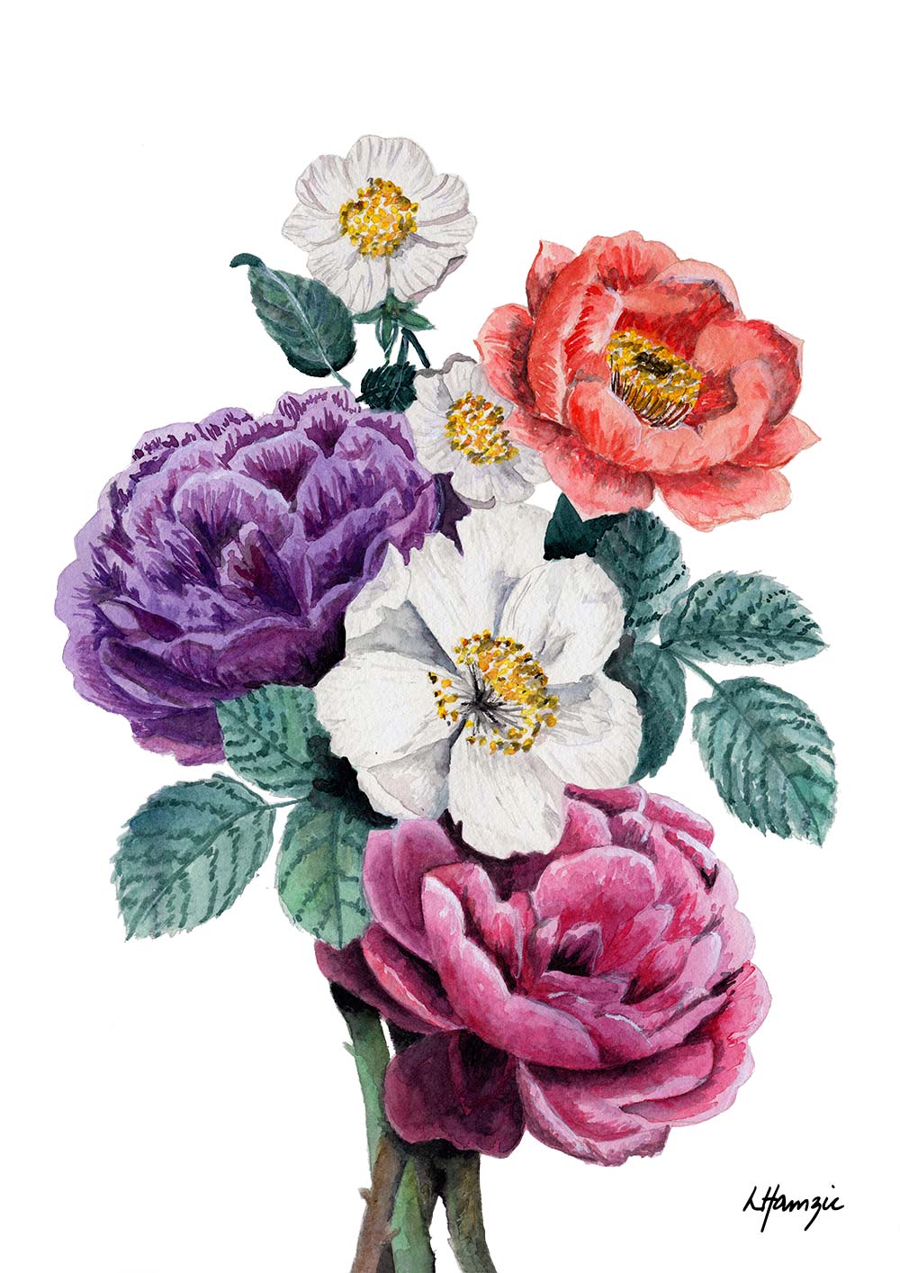 Bouquet of flowers - a mothers day gift with roses, sonata white and purple flowers captured in stunning watercolour detail by Laura Hamzic, Australian Artist