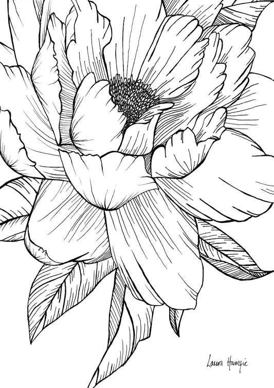 Art print of an inky line art Peony flower with intricate details on the petals - hand-drawn by Laura Hamzic