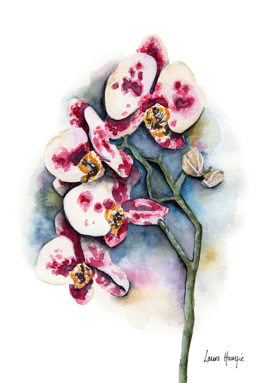 Watercolour art print of a Purple Dalmation Orchid flower on a blooming blue background - hand-painted by Laura Hamzic