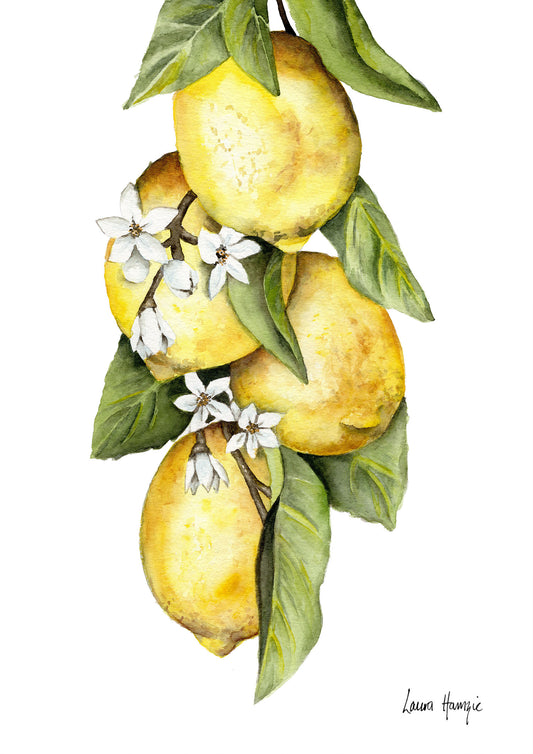 Watercolour art print of a bunch of lemons and flowers - hand-painted by Laura Hamzic