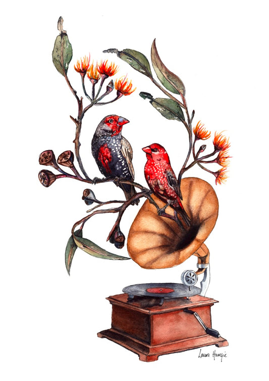 Watercolour art print of Finch Falsetto - a whimsical painting depicting red firetail finches and eucalyptus leaves, blossoms, growing out of a grammophone - artwork by Laura Hamzic