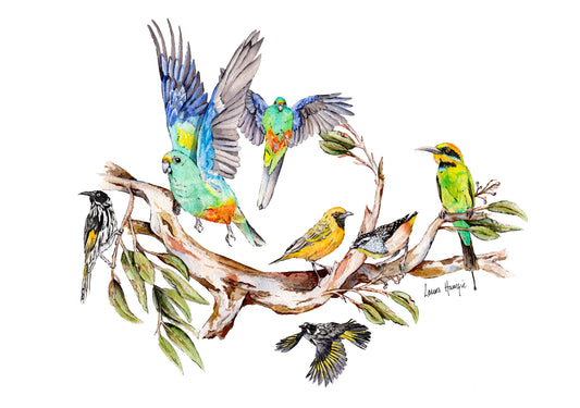 Watercolour art print of the Sunday Social Club - a group of Australian birds gathering to chatter and flit about the gum trees - painting by Laura Hamzic